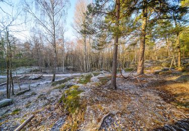 Randonnée A pied Inconnu - Björkhagsspåret - Photo