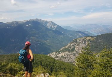 Tour Wandern Méolans-Revel - Tête de Louis XVI - Photo