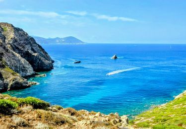 Excursión Senderismo Calvi - Boucle Croix des Balkans - Phare de Revellata - Notre dame de la Sierra - Photo