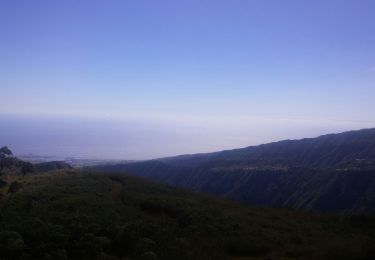 Tocht Stappen Saint-Paul - sans souci ilet alcide - Photo