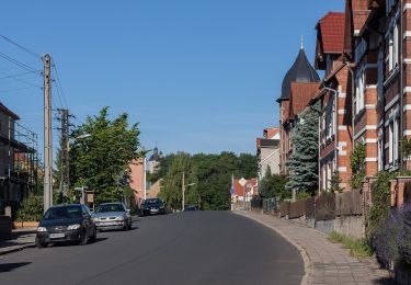 Tocht Te voet Pößneck - Rundwanderweg Pößneck-Seebach - Photo