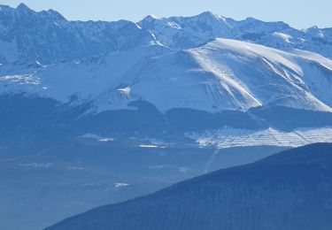 Randonnée Raquettes à neige Lans-en-Vercors - RECO VERTIGE DES CIMES - Photo
