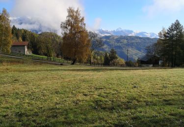 Tocht Noords wandelen Arbaz - Anzère  - Photo