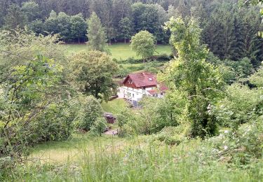 Percorso A piedi Mudau - Rundwanderweg Reisenbacher Grund 2 - Photo