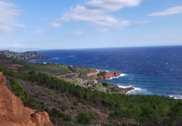 Tocht Stappen Théoule-sur-Mer - THEOULES - Photo