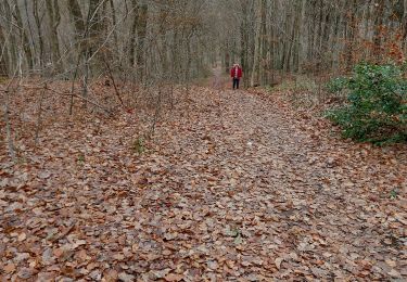 Trail Walking Namur - FLAWINNE _ Marche Fédérale _ NA _ 28/12/2022 - Photo