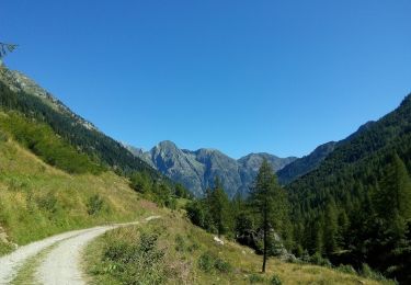 Trail On foot Alagna Valsesia - IT-202 - Photo