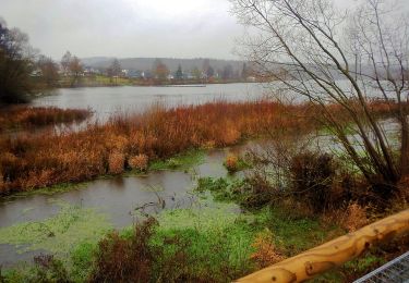 Tocht Te voet Sundern - Höhweg Amecke - Photo