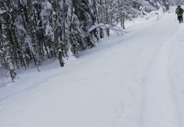 Randonnée Raquettes à neige Le Hohwald - rptlch - Photo