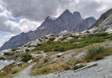 Trail Walking Vallouise-Pelvoux - 05-pre-Mme-Carle-refuge-glacier-blanc-10km690m - Photo