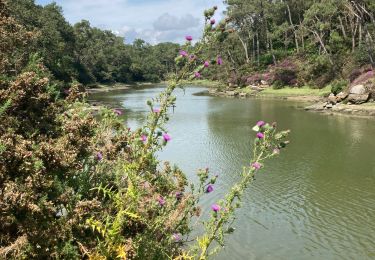 Tour Wandern Névez - Rospico - Port Manec’h - L'Aven - Photo