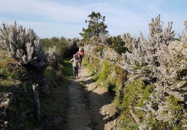 Trail Walking Riomaggiore - RA 2019 Cinque Terre Riomaggiore Porto Venere - Photo