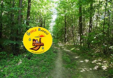 Tour Wandern La Neuville-en-Hez - GP_FORET-de-HEZ-FROIDMONT_20.2Km - Photo