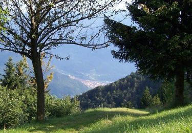 Randonnée A pied Breno - Breno - Montepiano - Col de l’Oca - Monte di Cerveno - Photo