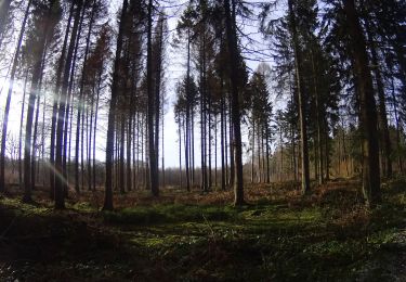 Tour Mountainbike Gerpinnes - Gerpinnes_20210221_084139 - Photo