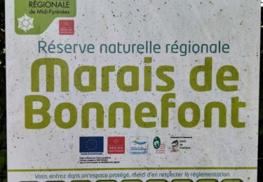 Tocht Stappen Mayrinhac-Lentour - Le marais de Bonnefond  - Photo
