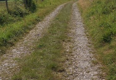 Trail Walking Vresse-sur-Semois - promenade 14.. LAFORET.. La roche à Saloru - Photo