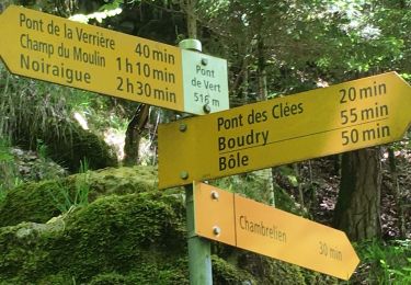 Randonnée A pied Boudry - Pont des Clées-Forêt de Boudry - Photo