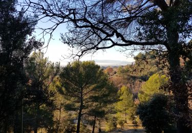 Tocht Stappen Manosque - 1de Pimayon au camping de Volx - Photo