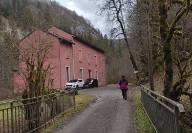 Tour Wandern Saint-Claude - Cascade du Flumen - Photo