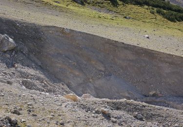 Percorso A piedi Ramsau am Dachstein - Almspaziergang - Photo