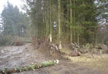 Tocht Te voet  - Hejlsminde Natursti - Photo