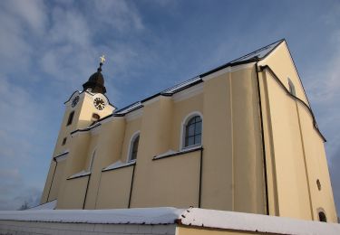 Percorso A piedi Freistadt - Planetenwanderweg - Photo