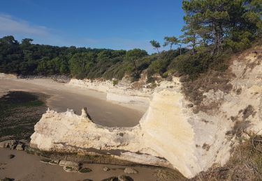 Tour Wandern Meschers-sur-Gironde - estuaire - Photo