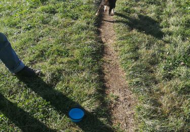 Tocht Noords wandelen Ayent - le pertou - Photo