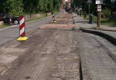 Tocht Te voet Kelbra (Kyffhäuser) - Grenzsteinweg - Photo