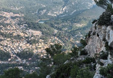 Tour Wandern Toulon - Le Faron-D 14-01-2024 - Photo