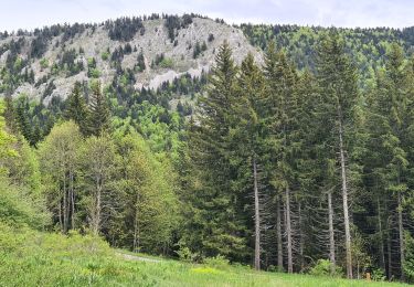 Excursión Senderismo Villard-de-Lans - La moliere - col d'herbouilly - pot du loup - crête - Photo