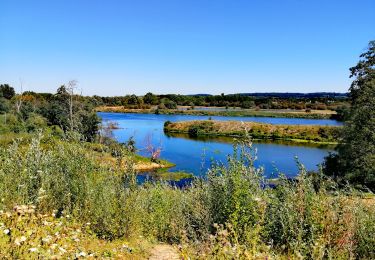 Tour Wandern Weset - La Montagne Saint-Pierre et ses alentours  - Photo