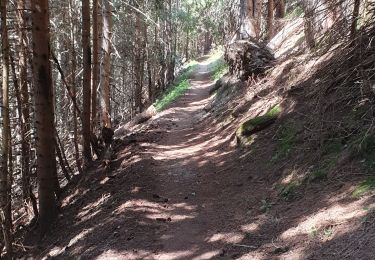 Tocht Mountainbike Hauteluce - tour lac girote - Photo