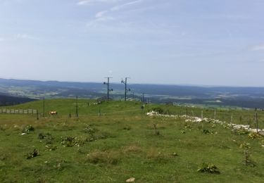 Trail Horseback riding Métabief - rando 6 - Photo