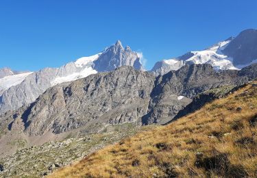 Tocht Stappen La Grave - La Grave - La Meije - Ref Chancel et Belvédère  - Photo