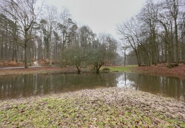 Randonnée Marche Tervueren - Arboretum de Tervuren - Photo