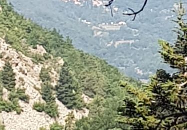 Trail Walking Taurinya - 66-Le Canigo-3e jour-Du Refuge des Cortalets au Col de Millère-24-07-2019 - Photo