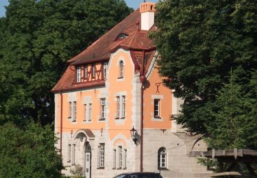 Tour Zu Fuß Uehlfeld - Storchen-Lehrpfad Uehlfeld - Photo