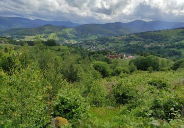 Randonnée Marche Hohrod - Hohrodberg  - Photo