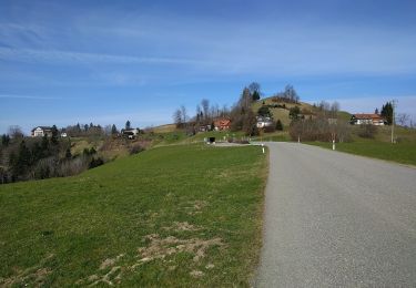 Trail On foot Bauma - Bauma - Sternenberg - Photo