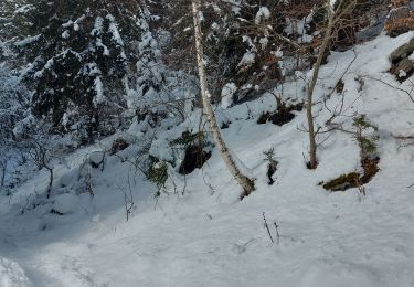 Trail Snowshoes Les Houches - 20230130 Les Houches Christ Roi - Photo