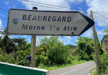 Tour Wandern Le François - Dumaine- Bossou- Gillot- bois soldat- Beauregard  - Photo