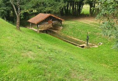 Tocht Mountainbike Alloue - Alloué Nanteuil en Vallée  - Photo