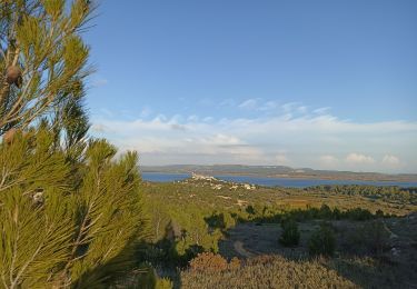 Randonnée Marche Bages - De Bages à Les Pesquis - Photo