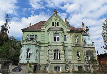 Tour Zu Fuß Kronstadt - Brașov (centru) - Stejerișul Mare - Poiana Mică - Photo