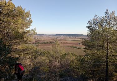 Randonnée Marche Calvisson - Sinsans - Photo