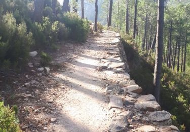 Trail Walking Conca - GR20 Etape 15 Paliri Conca - Photo