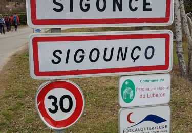 Tour Wandern Sigonce - Boucle du Grand Champ depart Sigonce 382+ - Photo