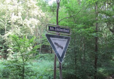 Tocht Te voet Eschwege - Premiumweg P3– Blaue Kuppe - Leuchtberge - Photo